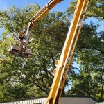 patriot tree service 8