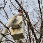 Tree removal equipment being safely used to remove a tree from a property.